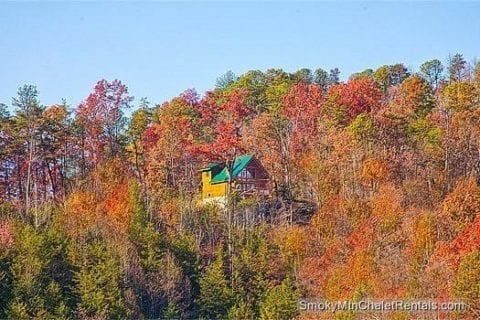 The Serenity cabin rental surrounded by beautiful fall colors in the mountains.